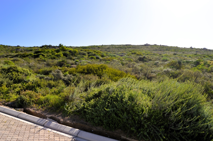0 Bedroom Property for Sale in Steenbergs Cove Western Cape